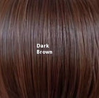 Lace Wig Medium Small Volume Highlight Gradient Long Curly Hair