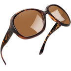 Women's Oversized Classic Trendy Sunglasses